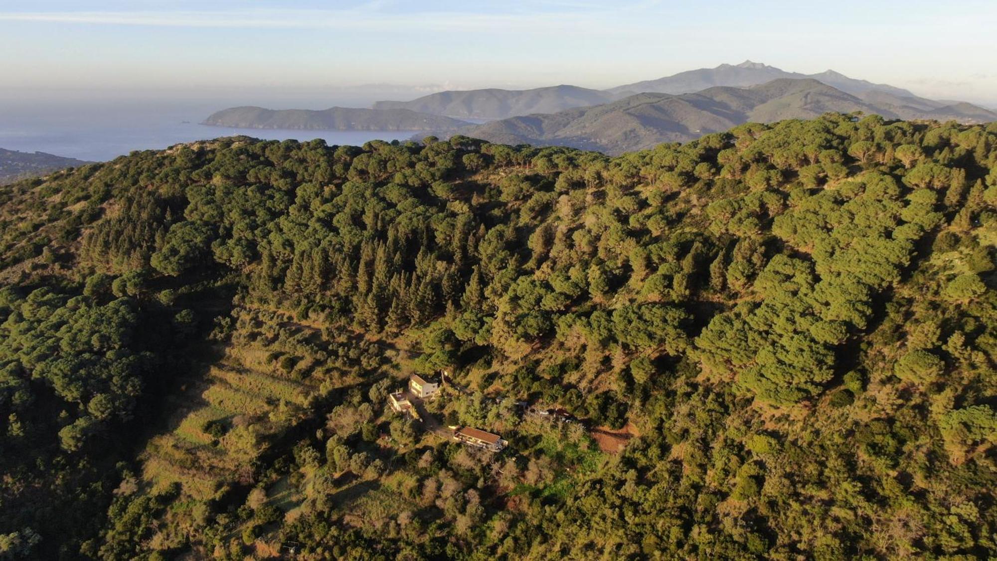 Aria Di Collina - Isola D'Elba Apartman Porto Azzurro Kültér fotó