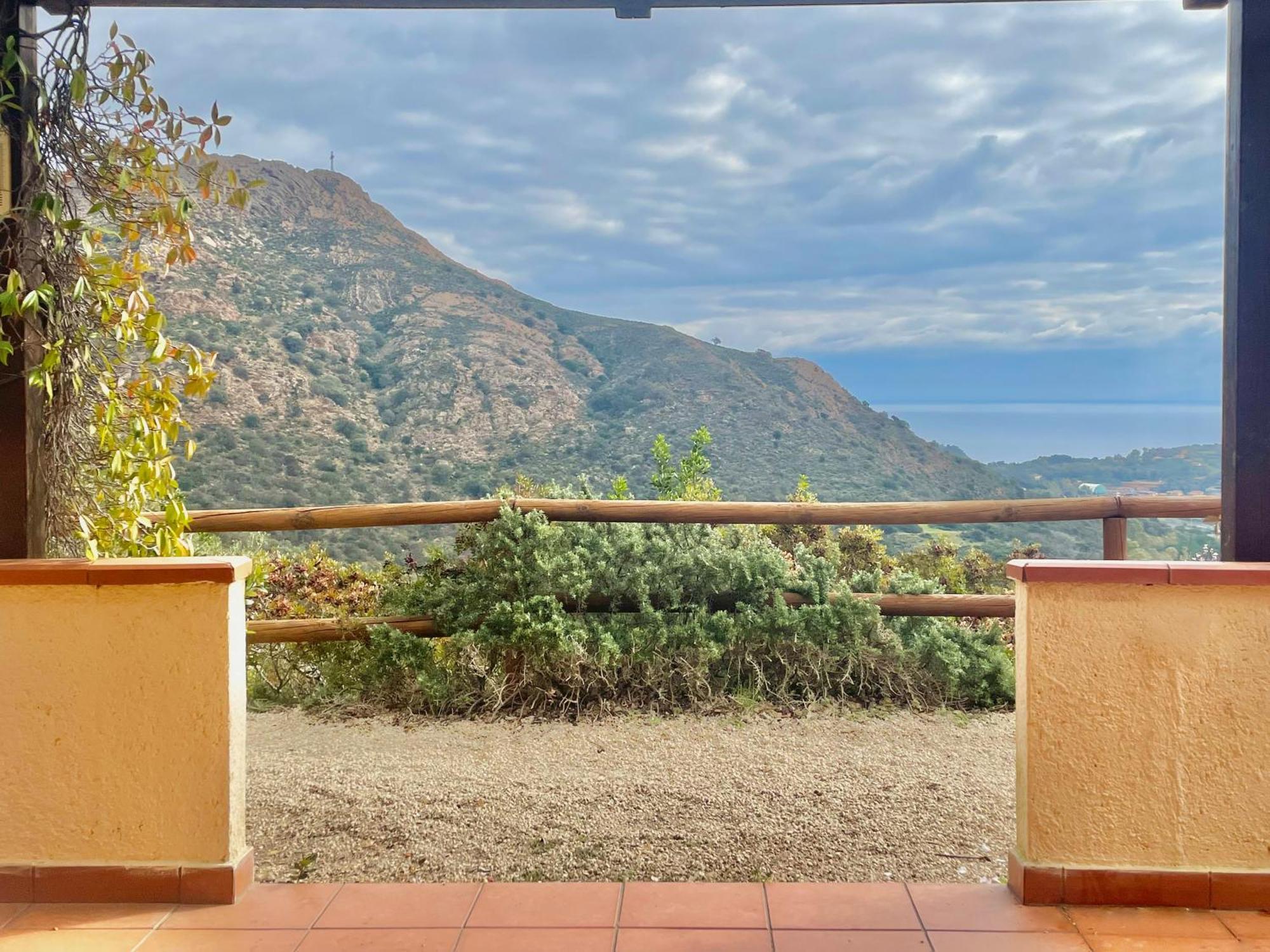 Aria Di Collina - Isola D'Elba Apartman Porto Azzurro Szoba fotó